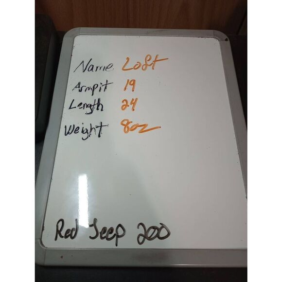 Loft Shirt Ladies Large Gold Short Sleeve V-Neck Ruffle Textured Side Zipper Sho - Picture 8 of 8